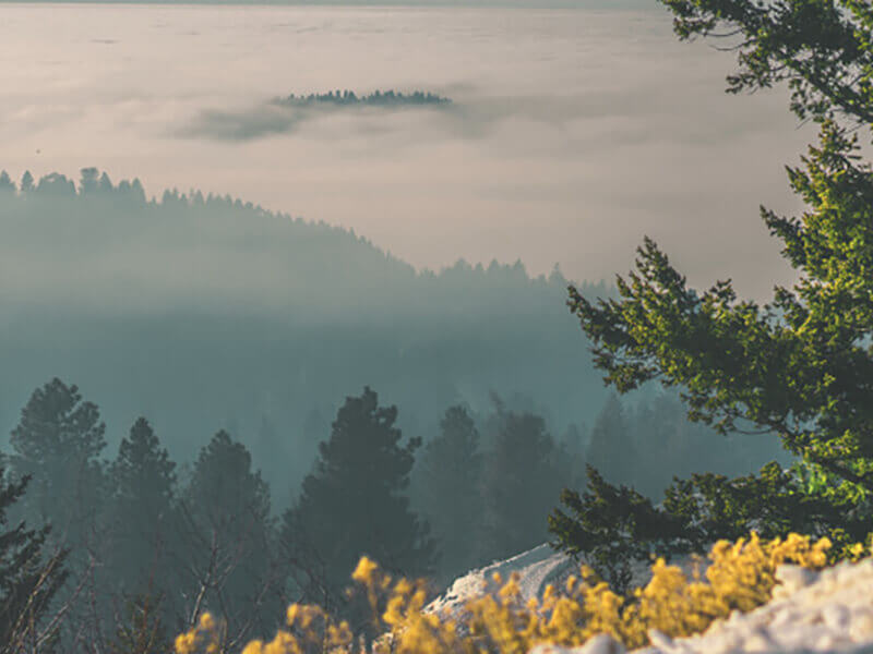 Mountains with trees photo