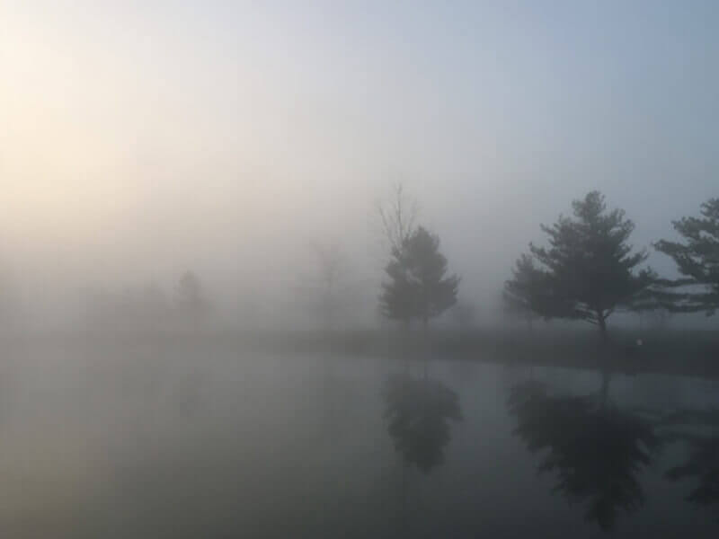 Foggy lake photo