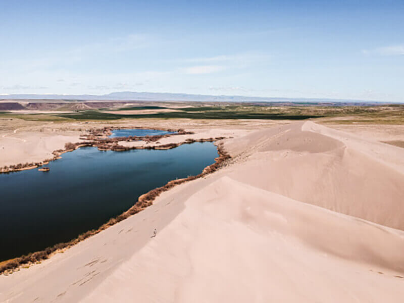 Desert oasis photo